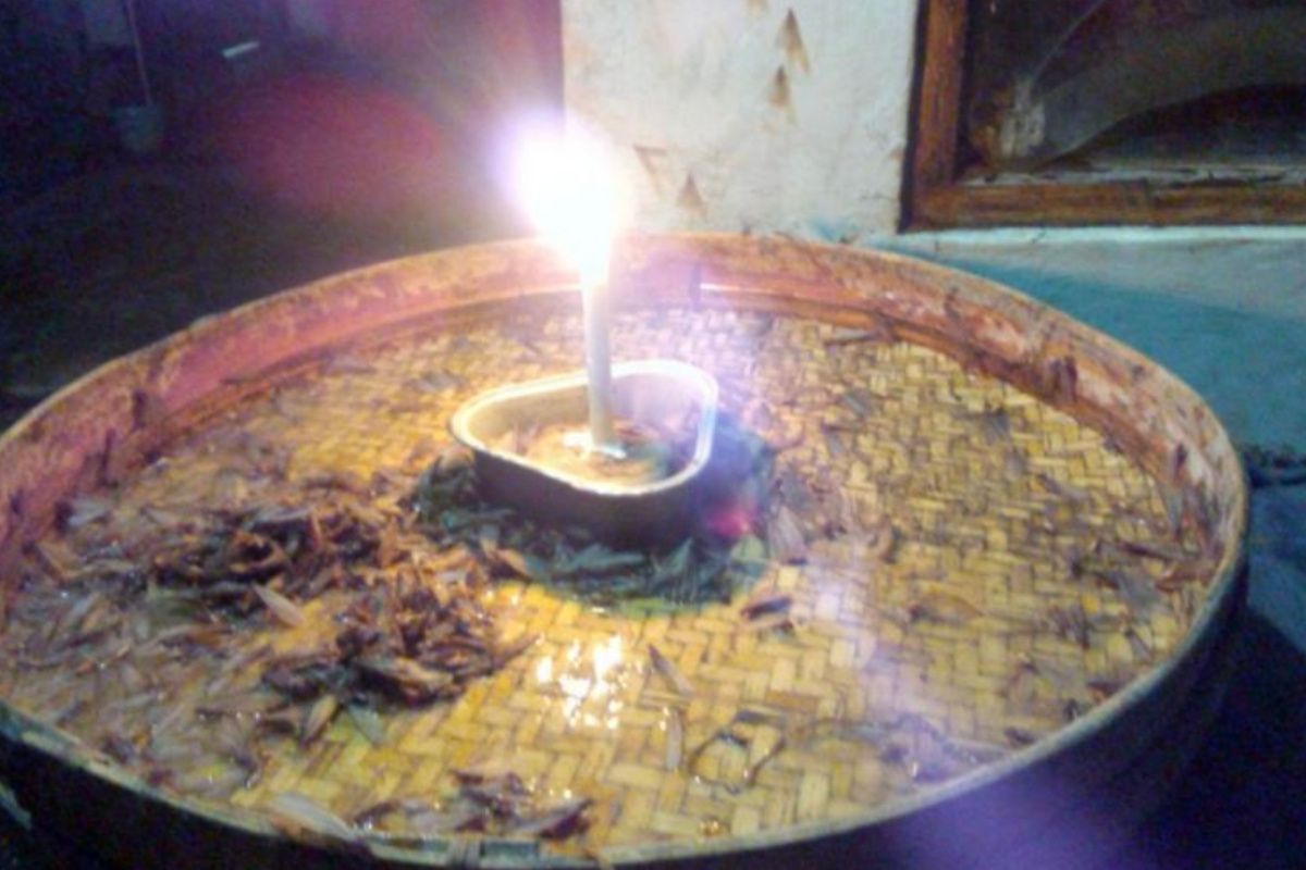 7 cara usir laron yang mengganggu di rumah