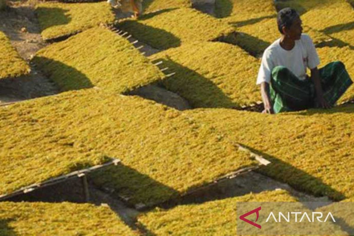 Sampang bantu iuran jamsostek 6.900 pekerja rentan