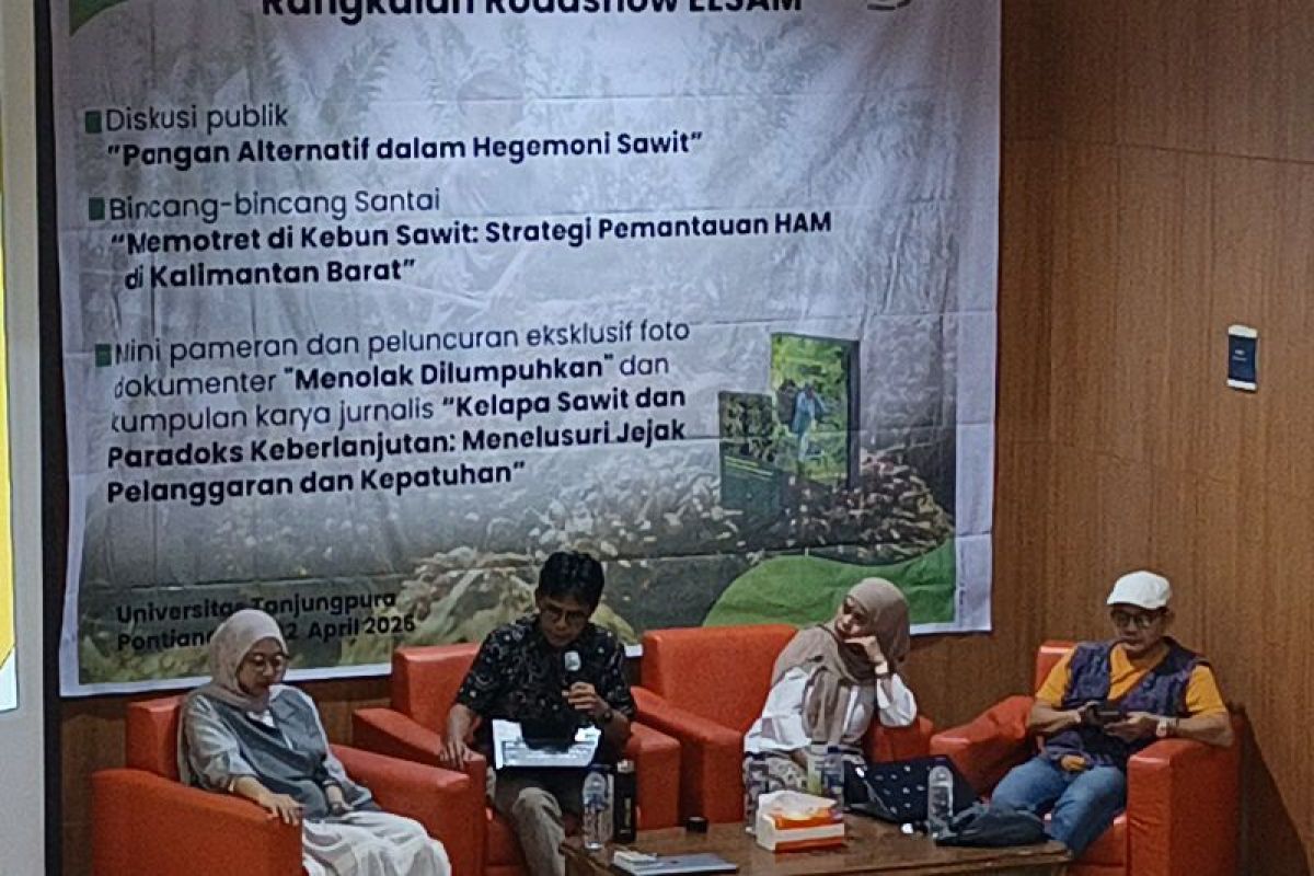 ELSAM dorong pelokalan standar bisnis dan HAM di perkebunan Kelapa Sawit