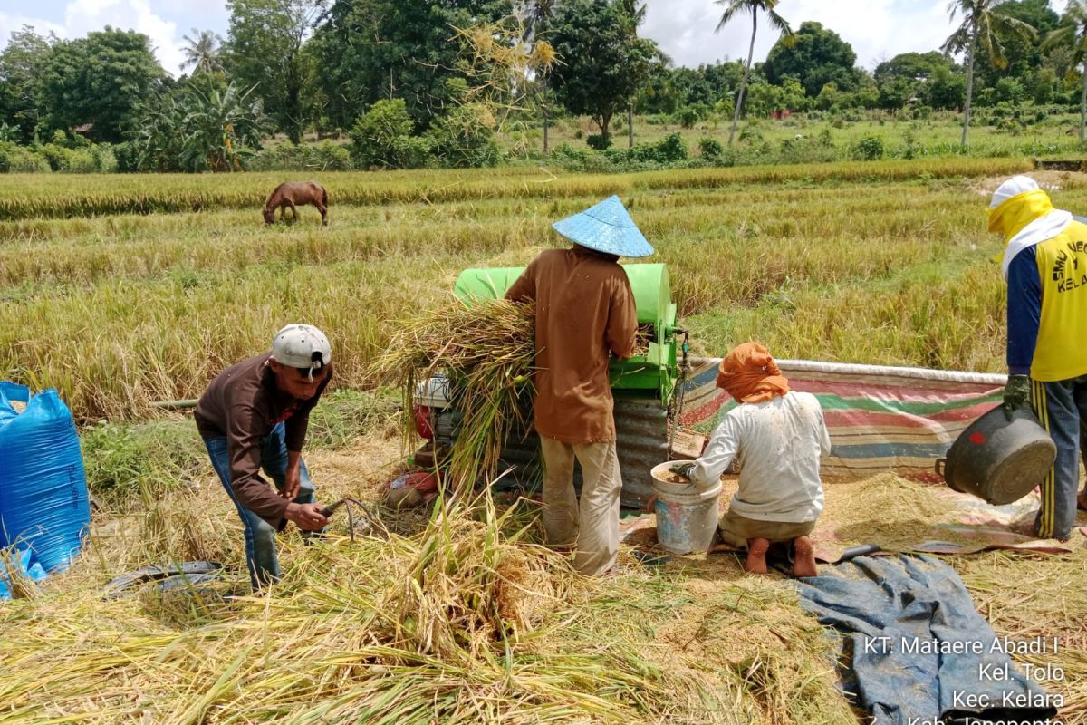 Gubernur apresiasi serapan gabah di Sulsel melampaui target
