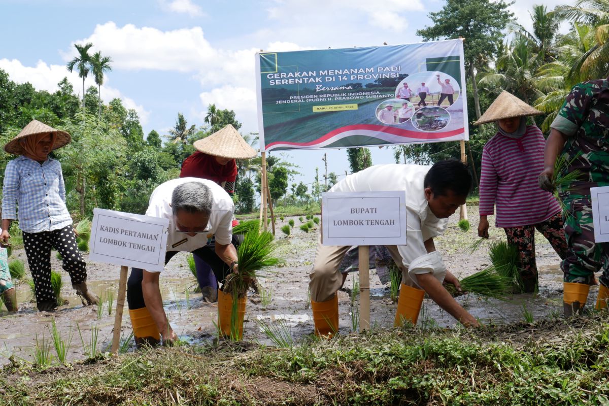 Lombok Tengah dukung percepatan swasembada pangan nasional