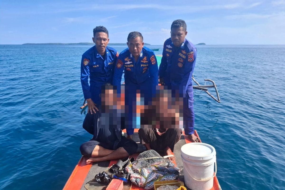 Dua nelayan di Sikka ditangkap karena menggunakan bom ikan