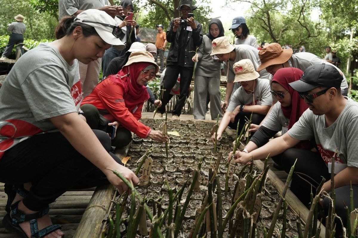 Prudential Indonesia dukung keberlanjutan dengan tanam 5.000 mangrove
