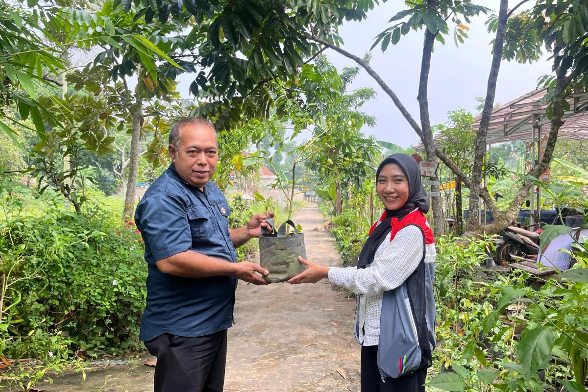 Pertamina dukung Program Kampung Iklim di Kota Palembang