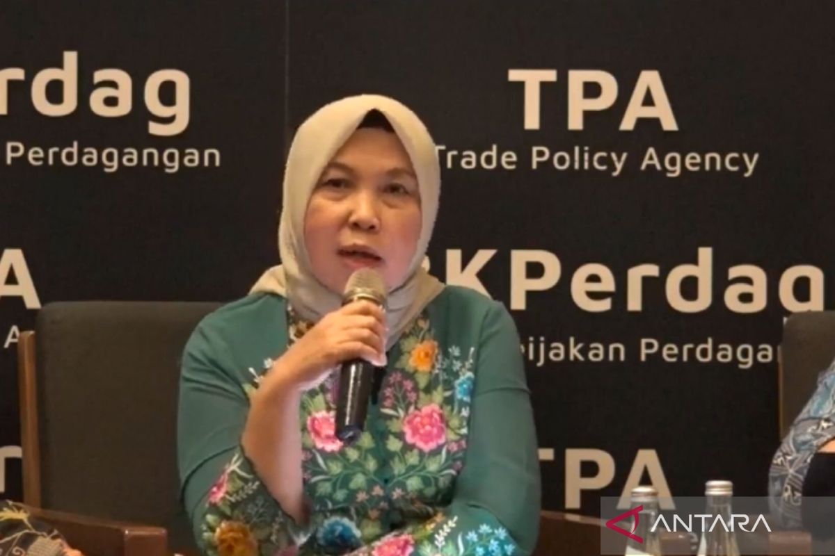Kemendag siap bantu pelaku usaha lakukan diversifikasi pasar