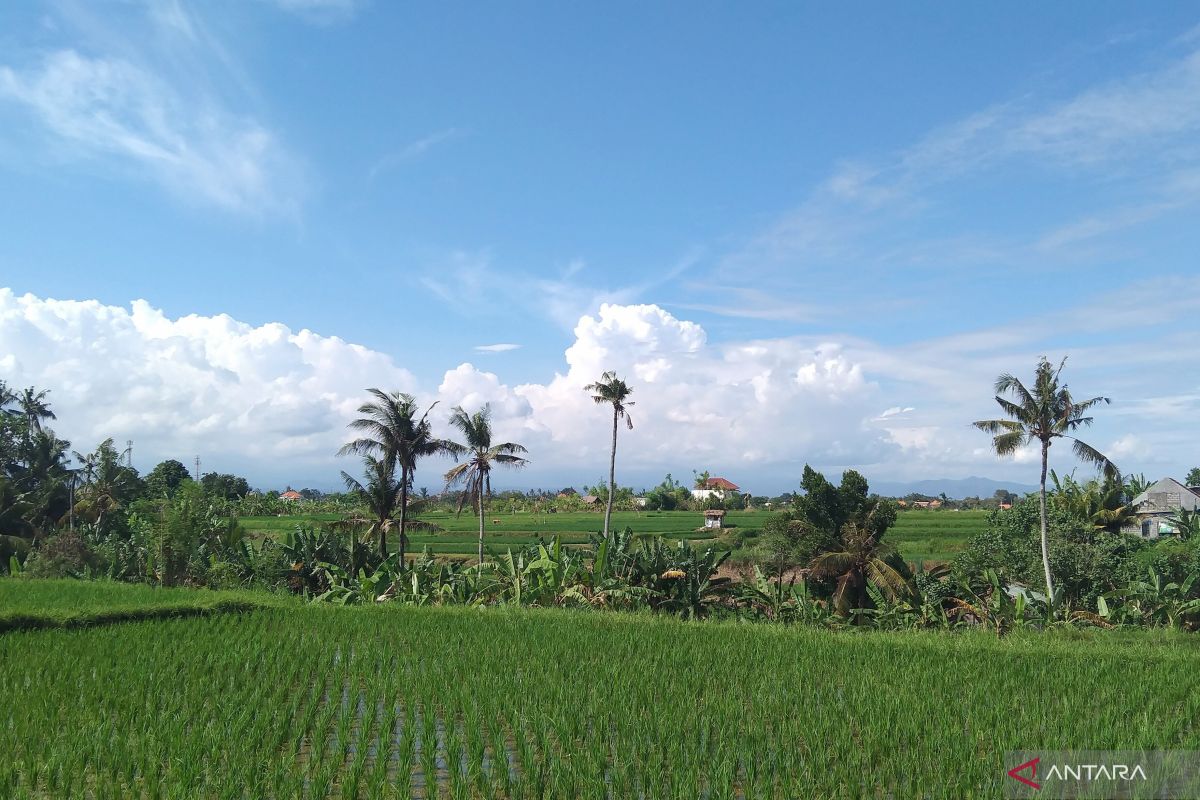 BBMKG minta petani tampung air antisipasi kemarau di Bali