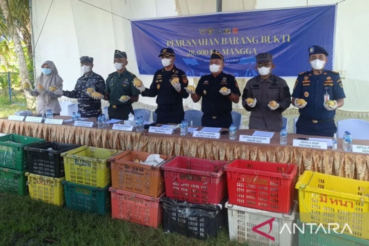 Bea Cukai Riau musnahkan 28 ton mangga ilegal asal Thailand