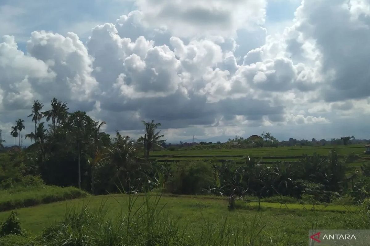 BPBD Madiun minta warga waspadai cuaca ekstrem peralihan musim kemarau