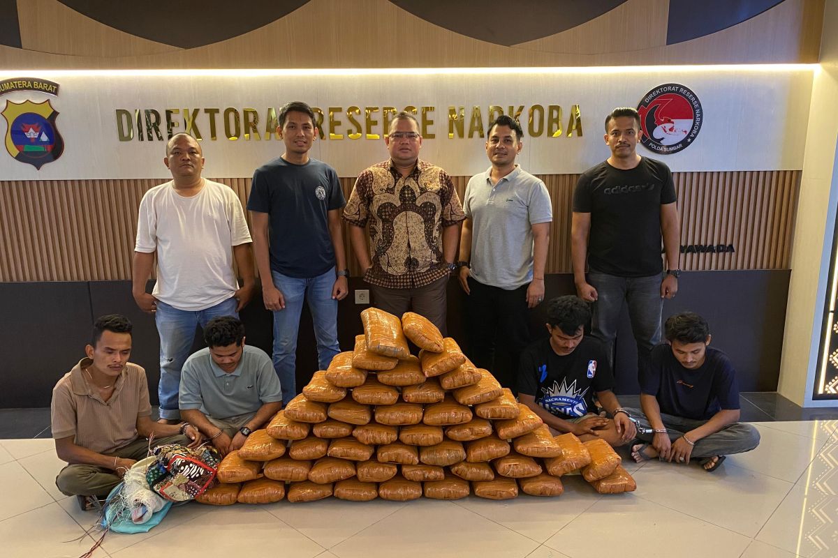 Polda Sumbar sita dua karung ganja dari pengedar (Video)