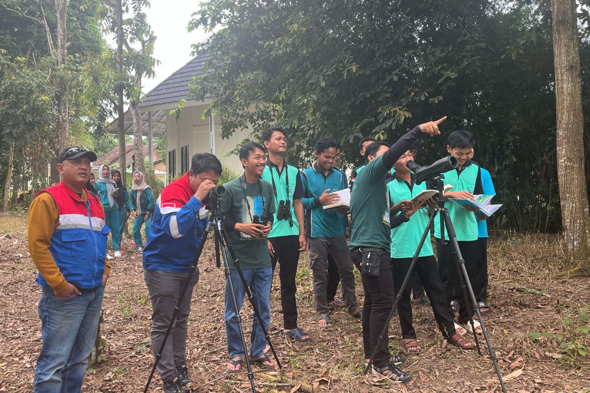 Konservasi burung di TNWK oleh Pertamina guna jaga keanekaragaman hayati
