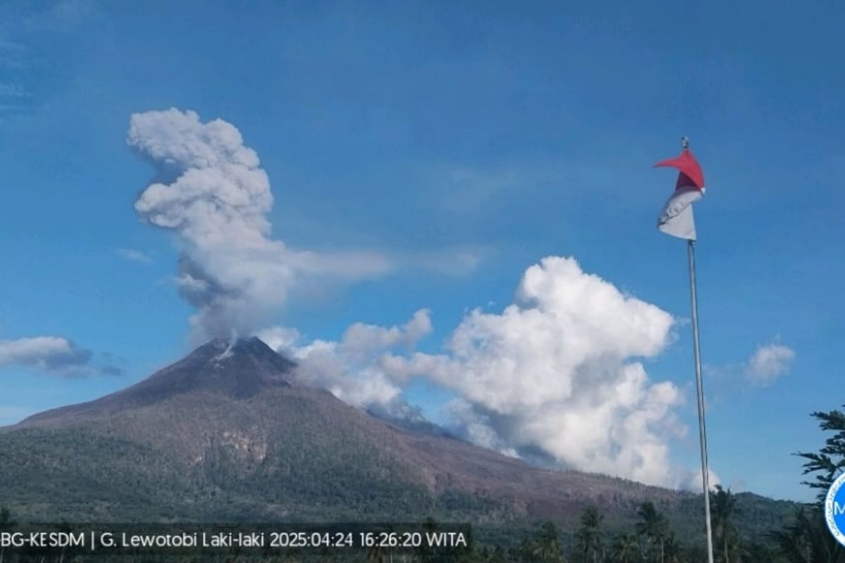 Gunung Lewotobi Laki-laki delapan kali erupsi pada Kamis