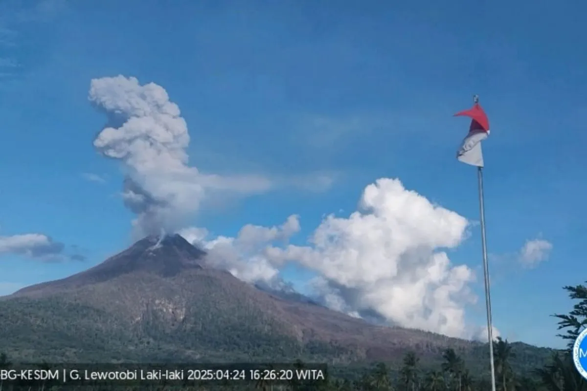 Gunung Lewotobi Laki-laki delapan kali erupsi pada Kamis