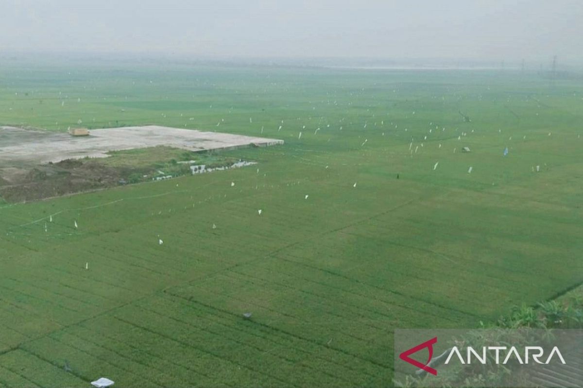 Wamentan Sudaryono apresiasi Pemkab Karawang jaga areal sawah dari alih fungsi