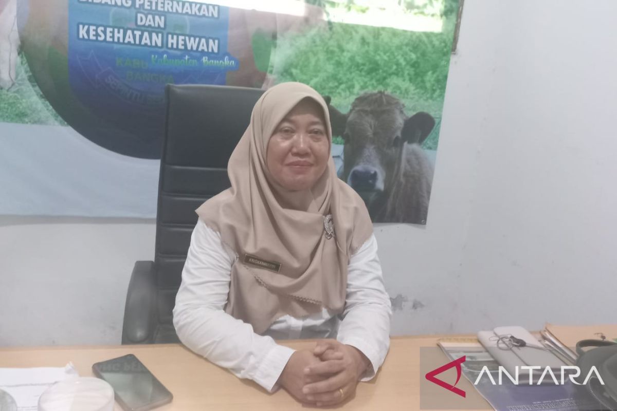 Bangka perketat pengawasan pasokan hewan kurban