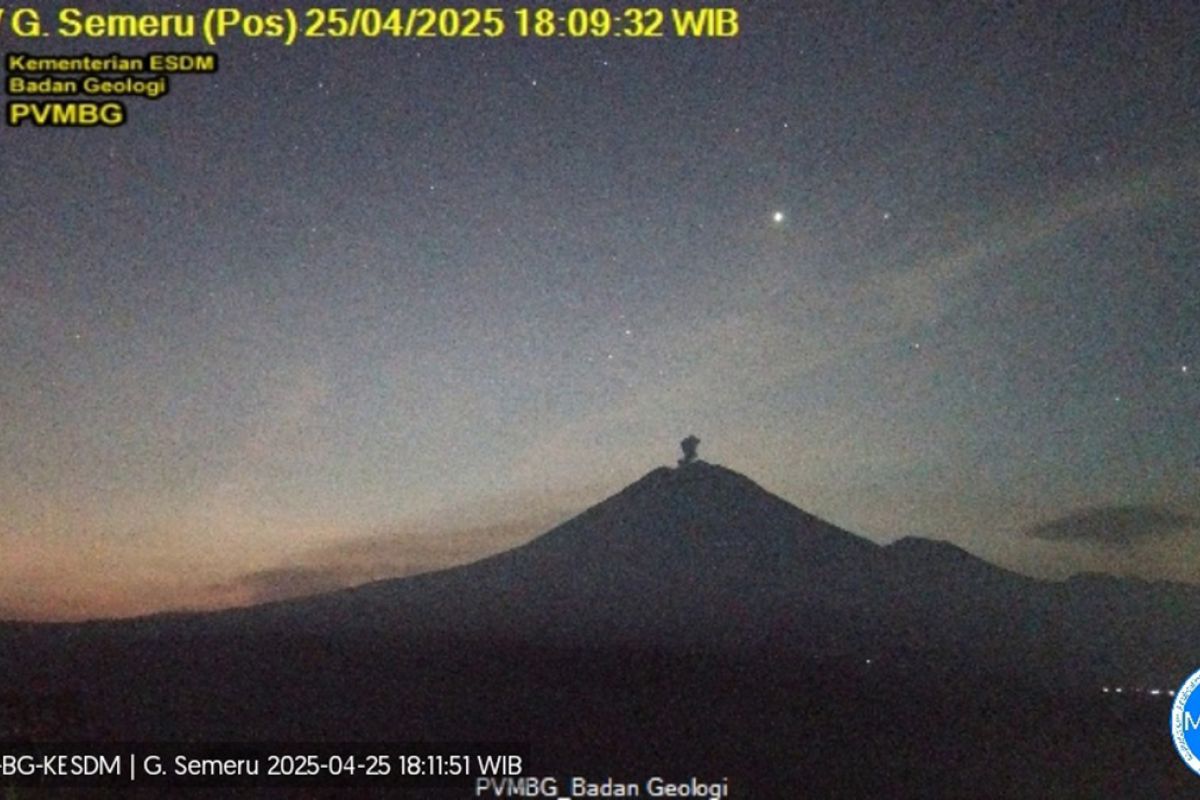 Hari ini Semeru tujuh kali erupsi, tinggi letusan hingga 900 meter