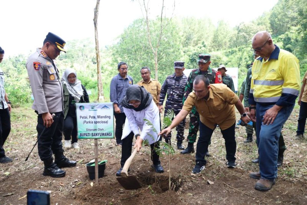 Banyuwangi tanam puluhan ribu bibit pohon guna cegah krisis lingkungan