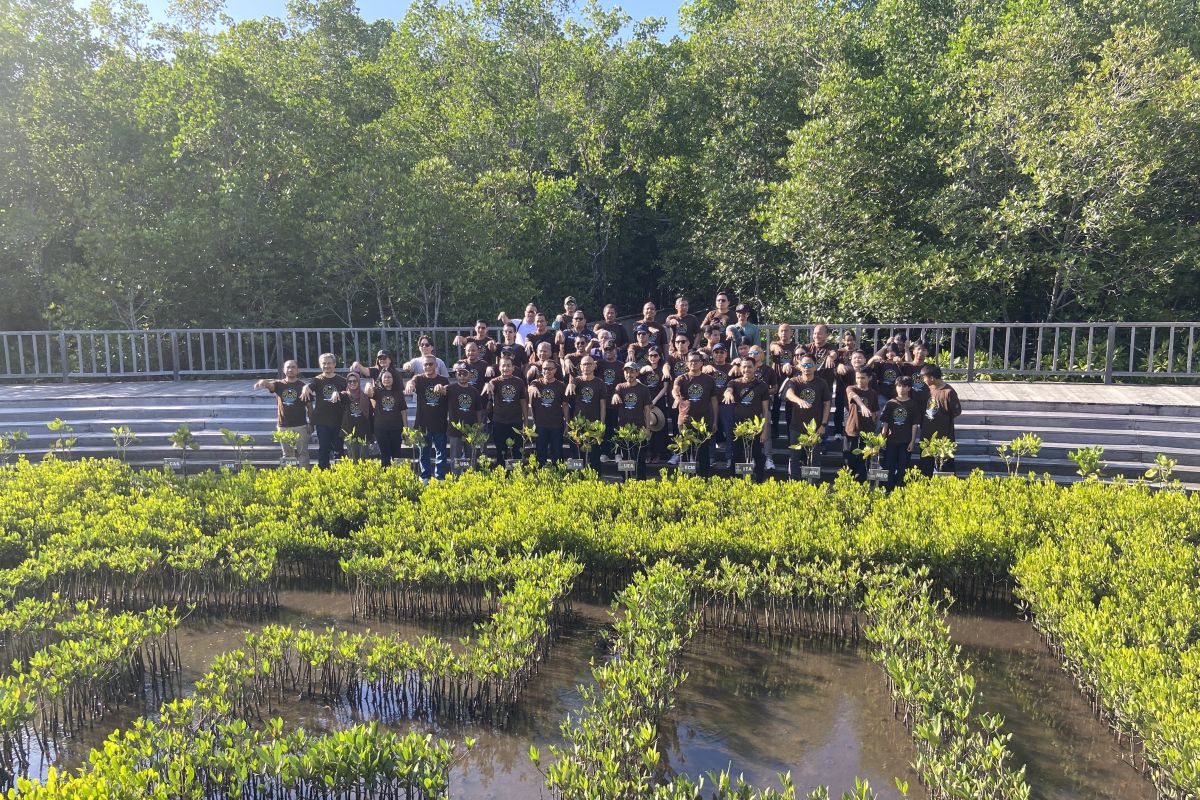 Kejaksaan serahkan bibit mangrove untuk masa depan udara yang bersih