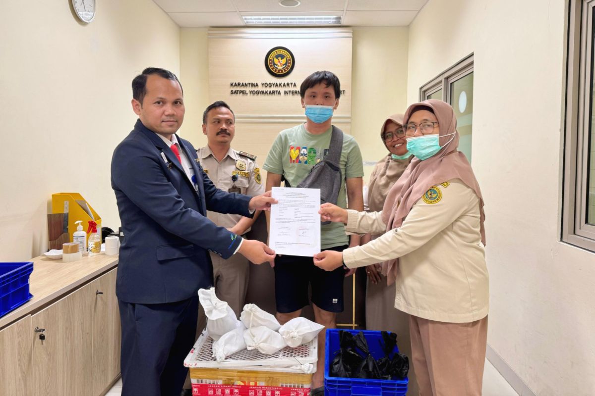 Yogyakarta gagalkan penyelundupan ular dan biawak di Bandara YIA