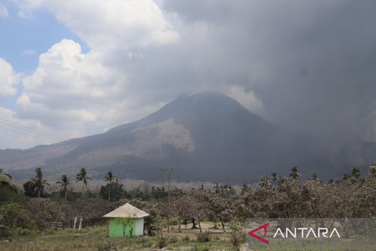 Gunung Lewotobi Laki-laki meletus 110 kali selama delapan hari