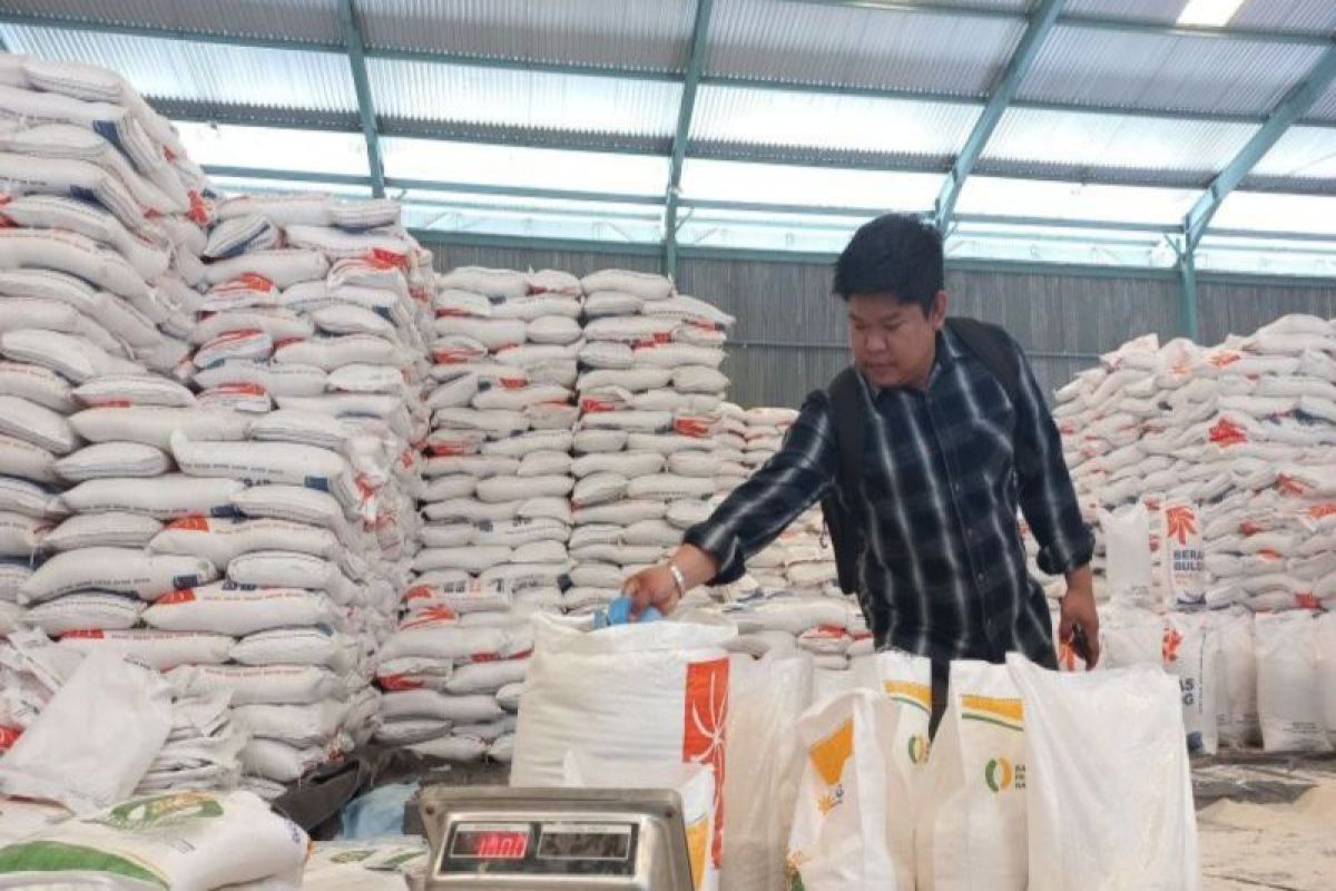 Bulog Sulawesi Tengah gencar serap gabah petani