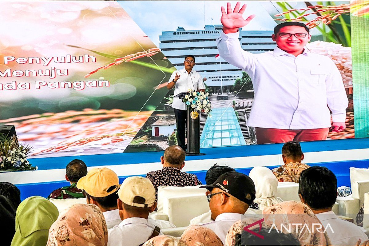 Wamentan minta penyuluh pertanian kawal swasembada