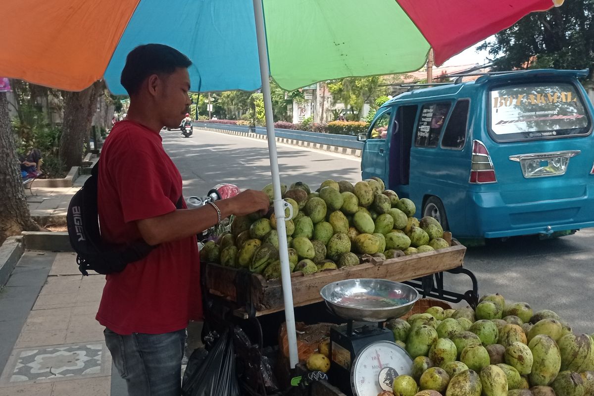 Pedagang mangga raup keuntungan jutaan rupiah