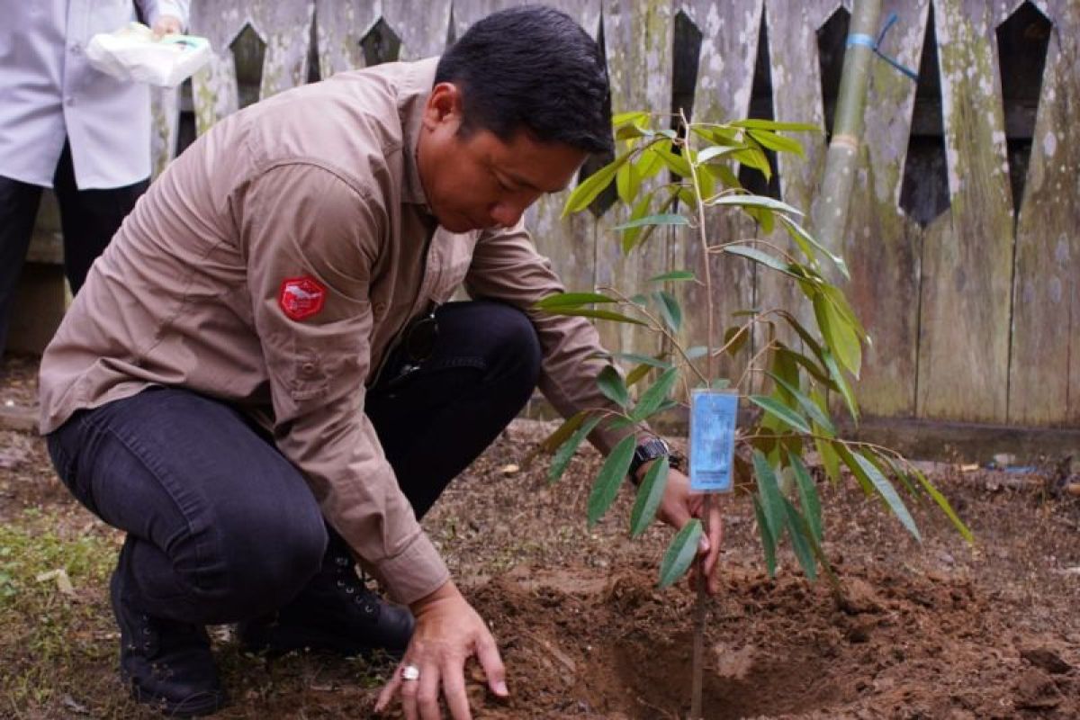 DPMPD Kaltim serahkan 640 bibit bohon untuk Desa Wisata Wehea
