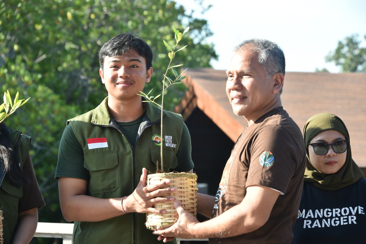 KLH ingatkan perlu gerakan kolektif untuk selamatkan mangrove