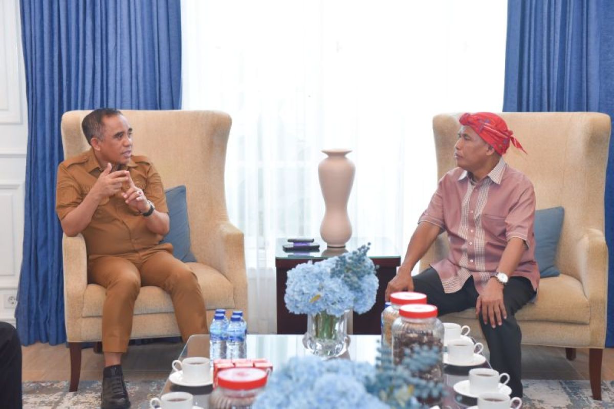 Anwar Hafid dorong revisi UU tentang pemerintahan daerah
