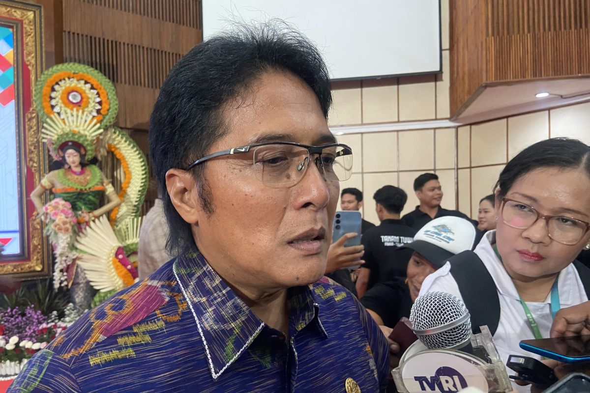 Wagub Bali jelaskan Bandara Bali Utara masuk RPJMN 2025-2029