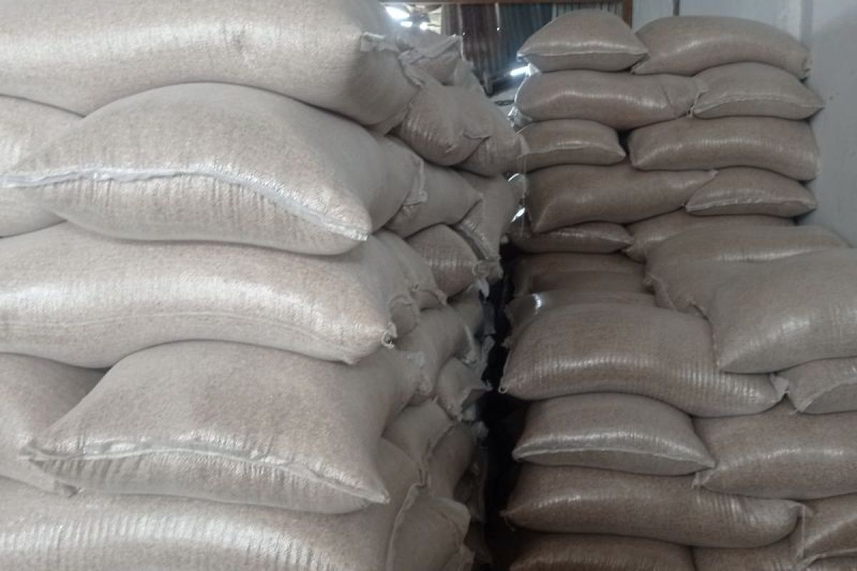 Sampai April, Bulog Lebak serap 15.500 ton setara beras petani