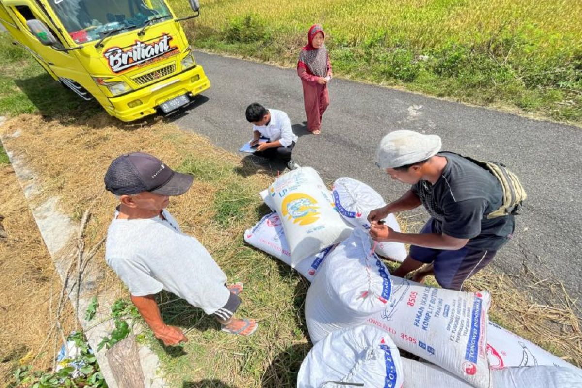 BULOG Yogyakarta komitmen dukung kesejahteraan petani lokal