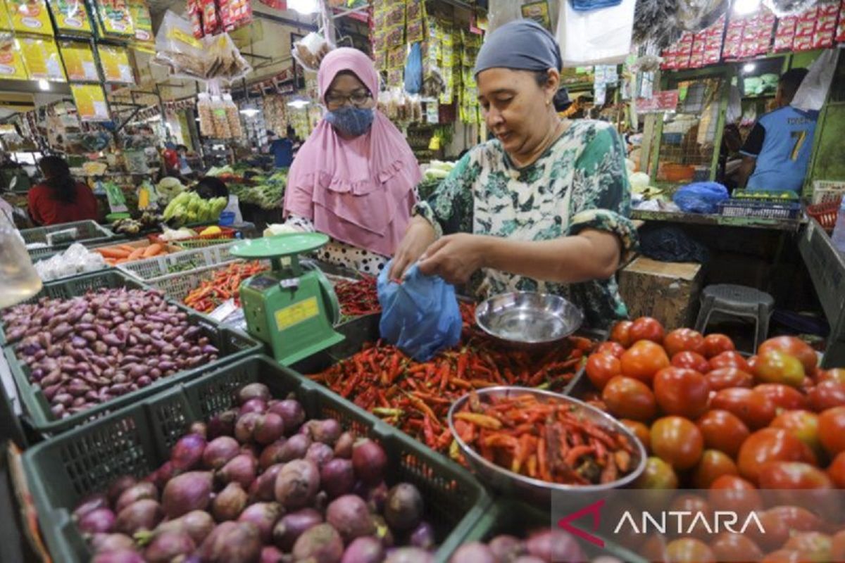 Bangka Belitung tambah stok 17 ton tekan harga bawang putih