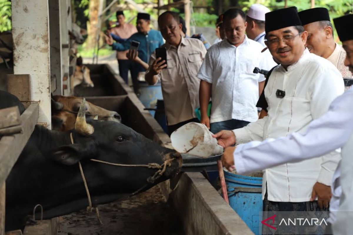 Meninjau peternakan Warga Purwodadi, Bupati Tanjabbar ingatkan pentingnya menjaga kualitas