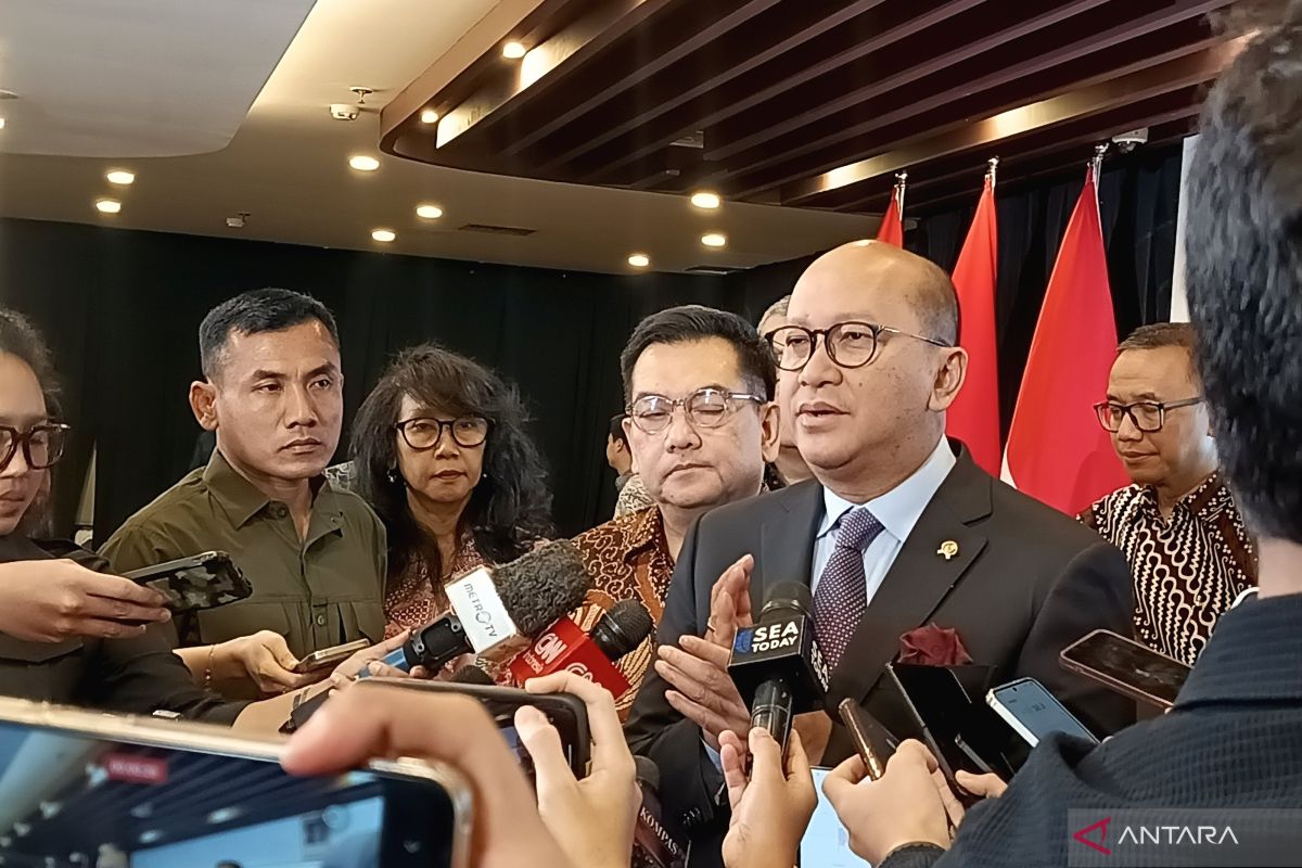 Rosan pastikan LG tak mundur menyeluruh di proyek ekosistem EV