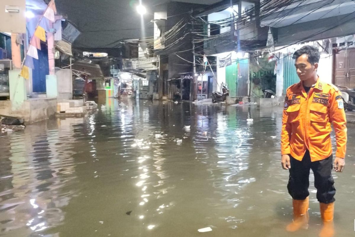 Dua RT di kawasan Pluit masih terendam banjir rob