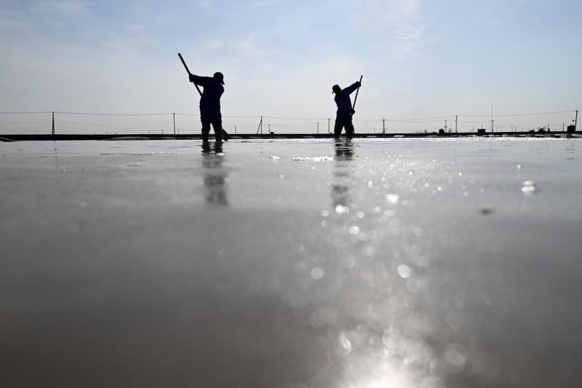 Menengok musim panen di tambak garam Tianjin