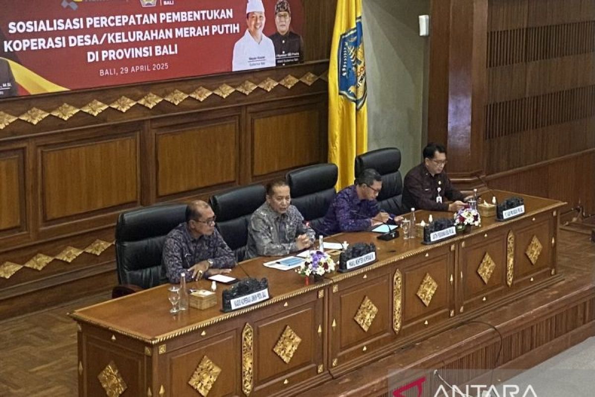 Wamen serahkan keputusan model Koperasi Merah Putih ke musyawarah desa