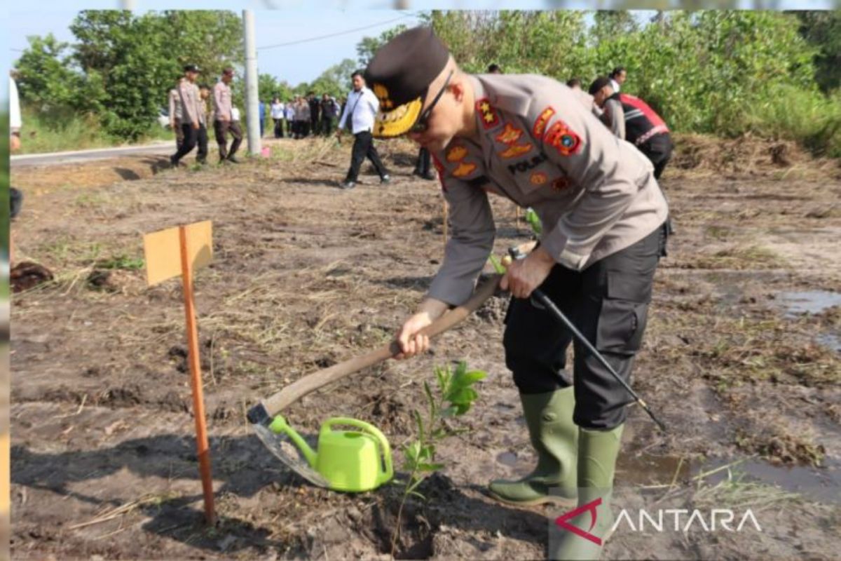 Polda Babel lakukan penghijauan lahan kritis seluas 18 hektare