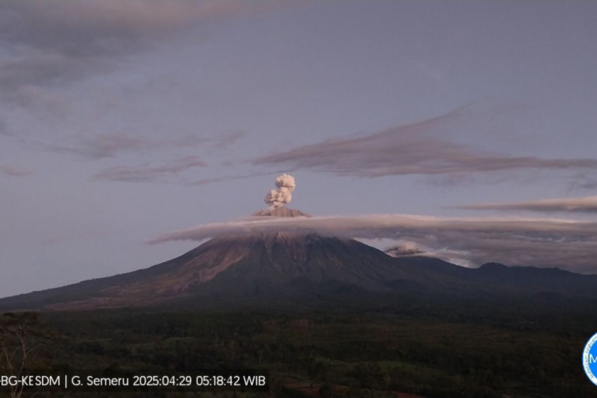 Gunung Semeru kembali erupsi Selasa pagi, setinggi letusan 900 meter