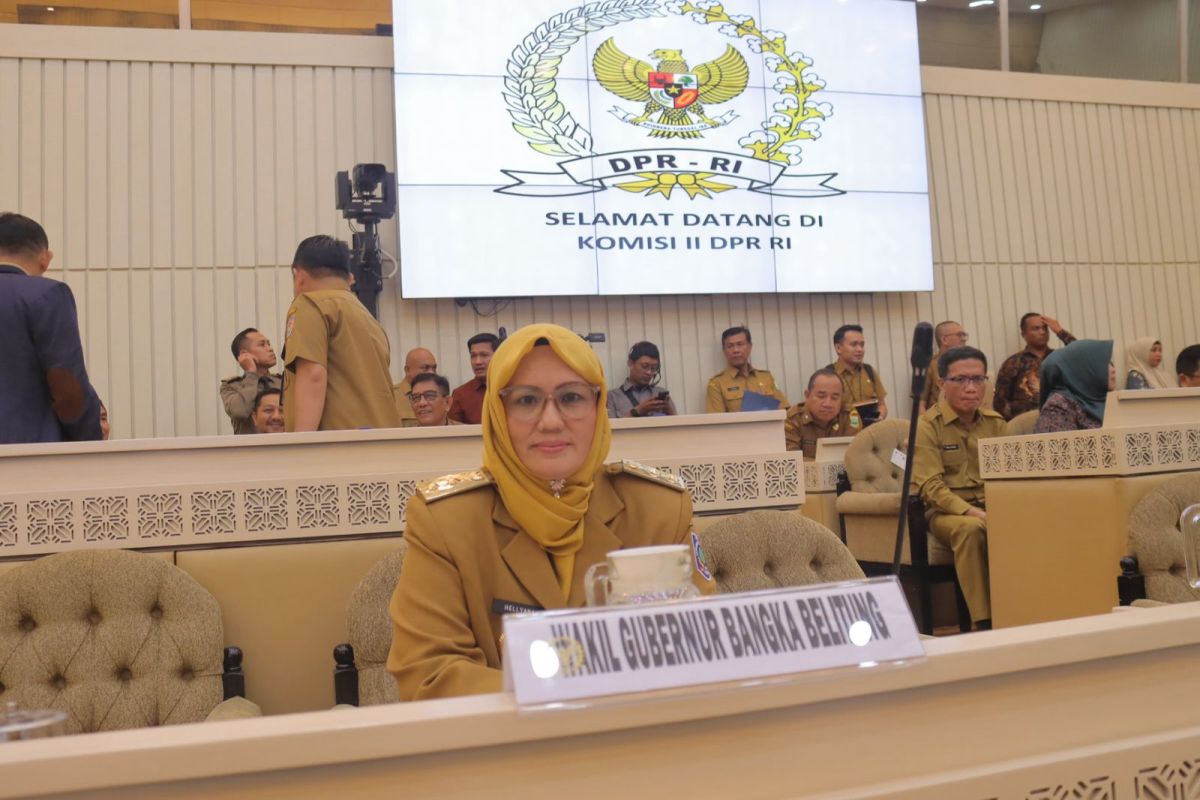 Wagub Hellyana sebut kinerja Pemprov Babel meningkat