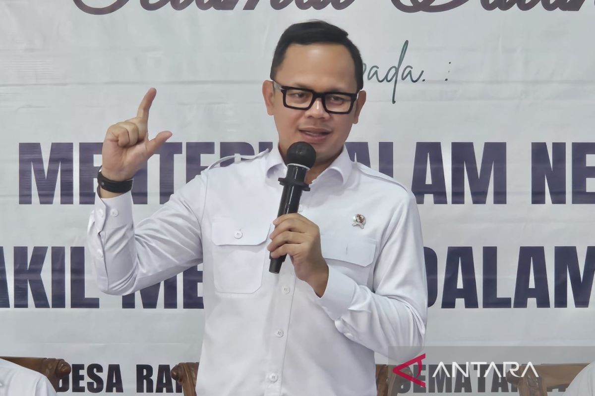 Wamendagri: Pemda perhatikan dua poin sebelum bentuk Dinas Ekraf