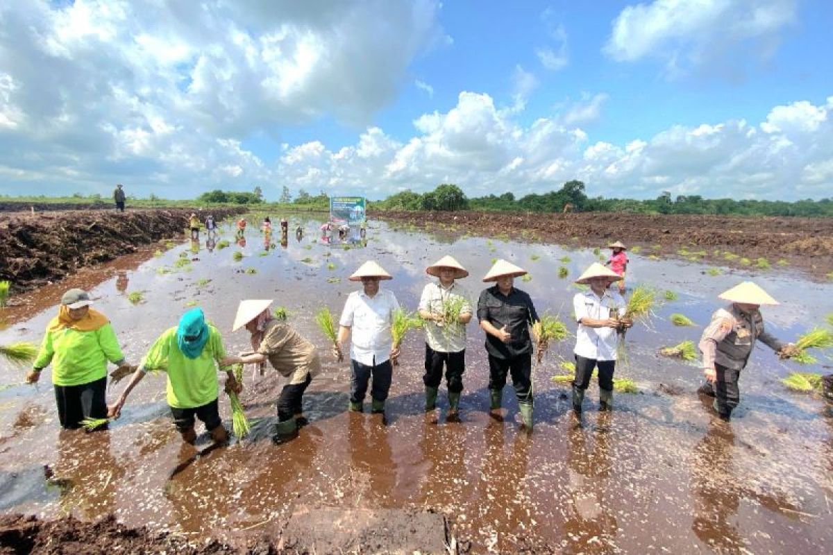 Kementan berharap program cetak sawah di Kotim tingkatkan kesejahteraan petani