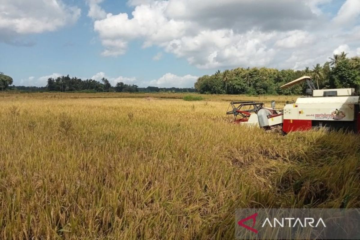 DKPP Bantul siapkan ribuan pompa air antisipasi musim kemarau