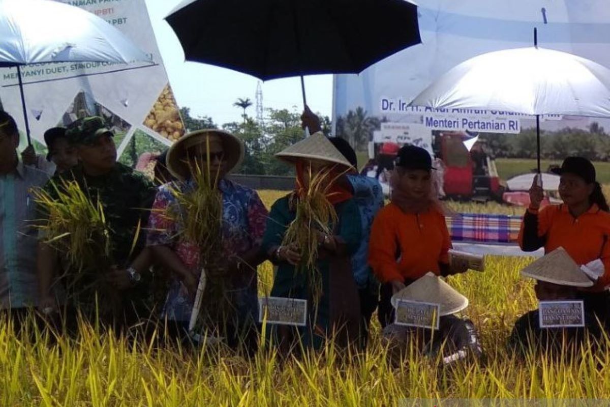 Bulog Sulsel kuasai cadangan stok beras capai 437 ribu ton