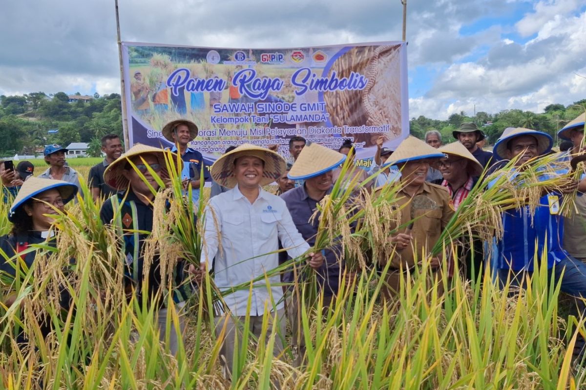 BI dan Gereja implementasikan GAP saat merespons defisit beras NTT