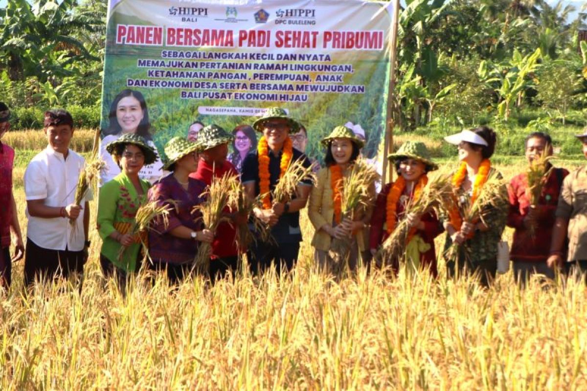 Wamen PPPA panen padi bersama masyarakat di Buleleng     