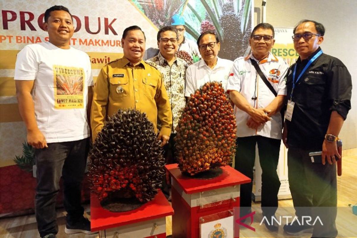 Bupati Kotim akui penurunan produksi berdampak besar pada DBH sawit