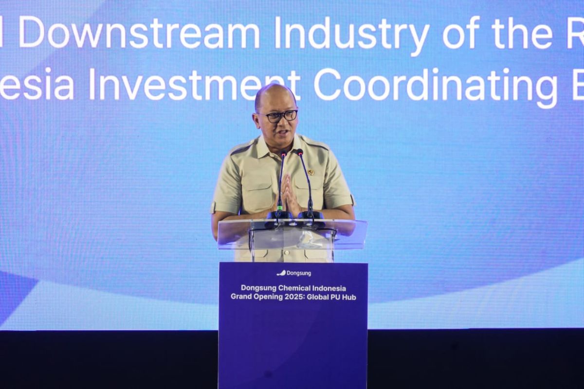 Menteri Rosan pastikan investasi Korea Selatan di RI tetap tinggi