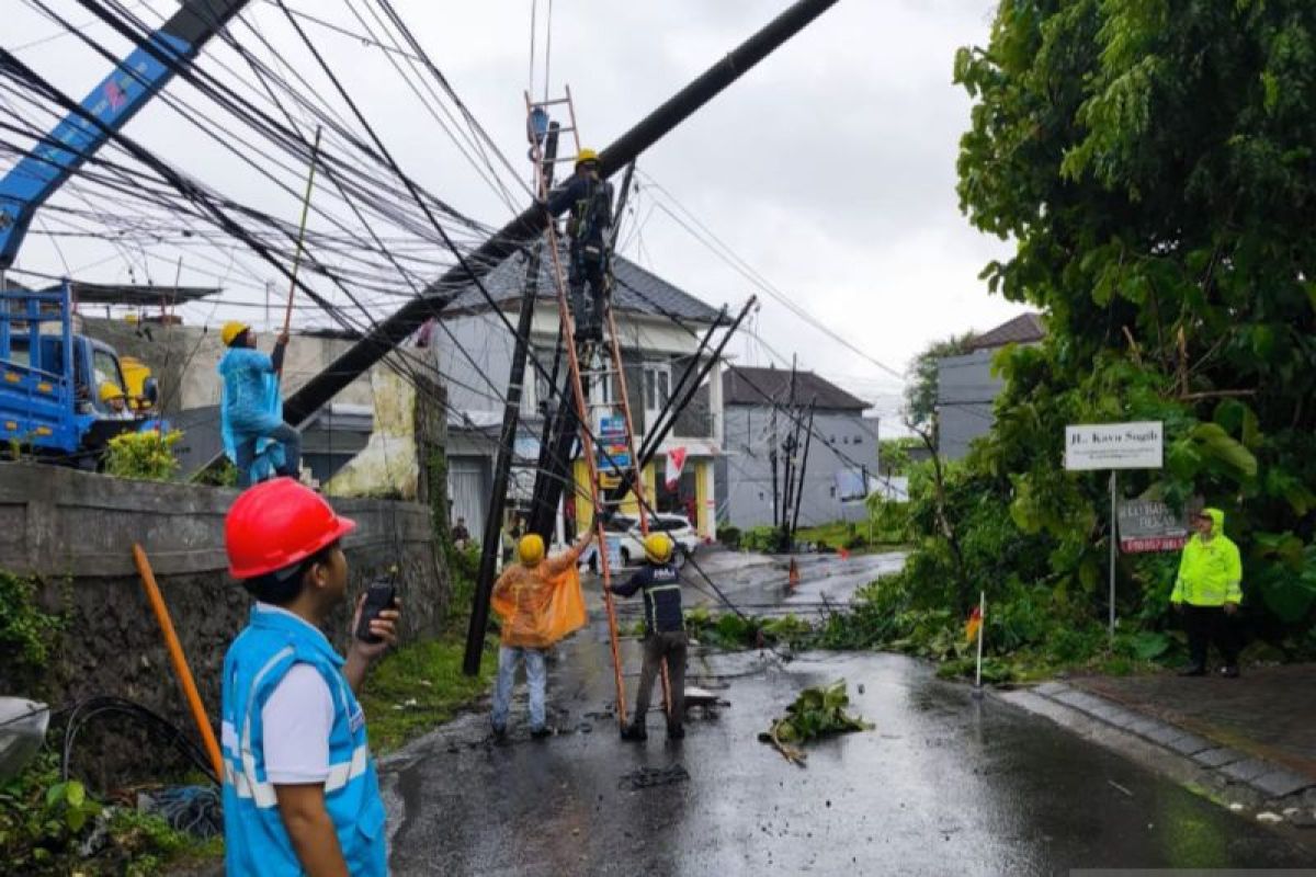 PLN investigasi penyebab listrik padam di Bali